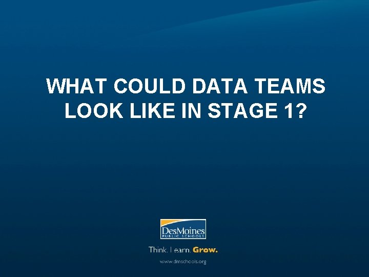 WHAT COULD DATA TEAMS LOOK LIKE IN STAGE 1? 