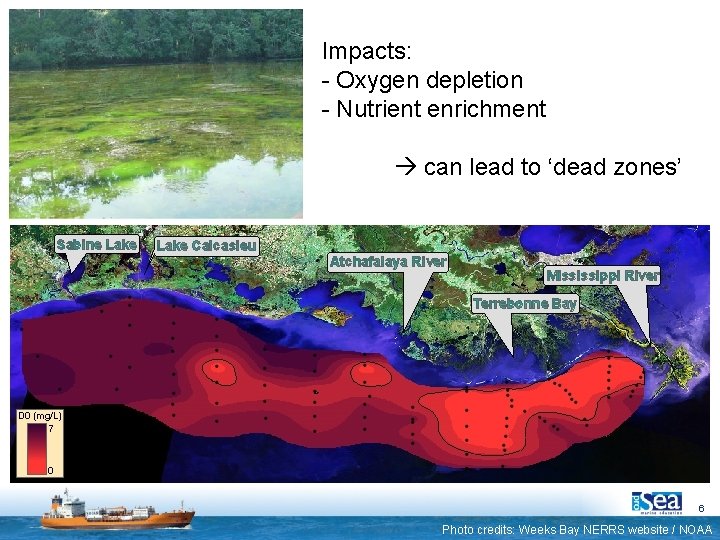 Impacts: - Oxygen depletion - Nutrient enrichment can lead to ‘dead zones’ 6 Photo