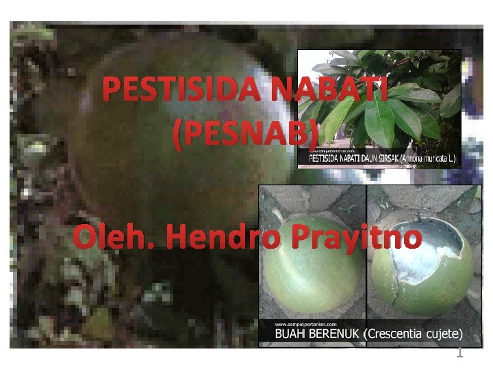 PESTISIDA NABATI (PESNAB) Oleh. Hendro Prayitno 1 