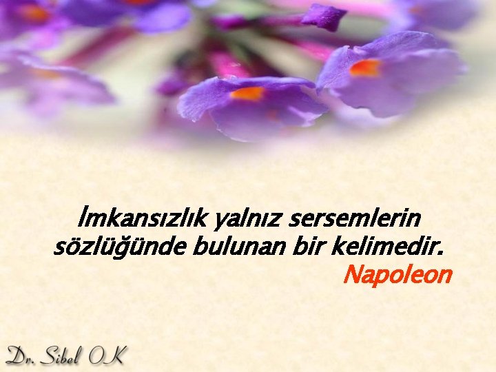 İmkansızlık yalnız sersemlerin sözlüğünde bulunan bir kelimedir. Napoleon 