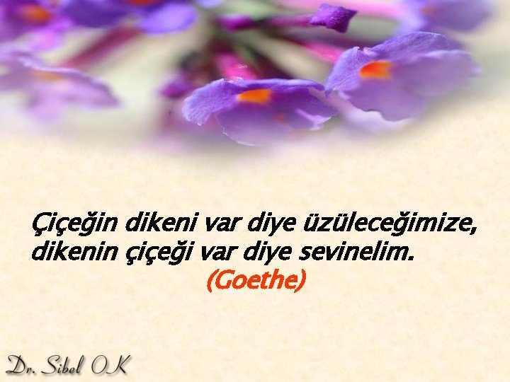 Çiçeğin dikeni var diye üzüleceğimize, dikenin çiçeği var diye sevinelim. (Goethe) 