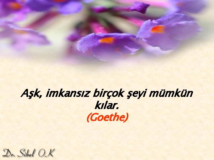 Aşk, imkansız birçok şeyi mümkün kılar. (Goethe) 