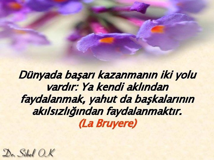 Dünyada başarı kazanmanın iki yolu vardır: Ya kendi aklından faydalanmak, yahut da başkalarının akılsızlığından