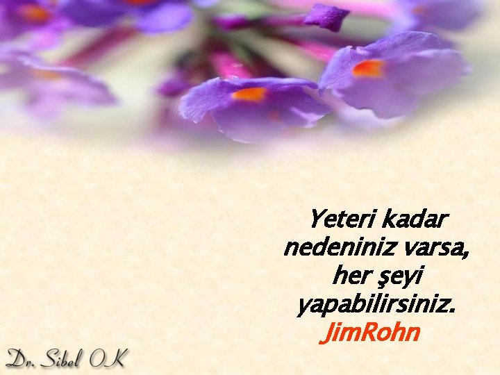 Yeteri kadar nedeniniz varsa, her şeyi yapabilirsiniz. Jim. Rohn 