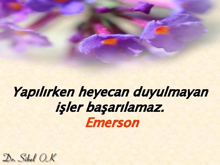 Yapılırken heyecan duyulmayan işler başarılamaz. Emerson 