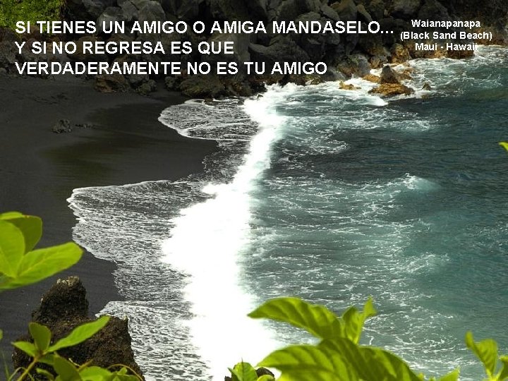 SI TIENES UN AMIGO O AMIGA MANDASELO. . . Y SI NO REGRESA ES SI TIENES UN AMIGO O AMIGA MANDASELO. . . Y SI NO REGRESA ES