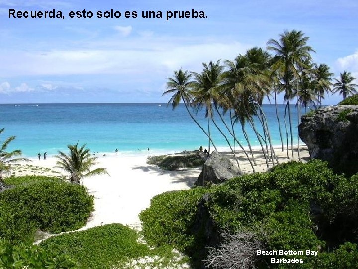 Recuerda, esto solo es una prueba. Beach Bottom Bay Barbados Recuerda, esto solo es una prueba. Beach Bottom Bay Barbados