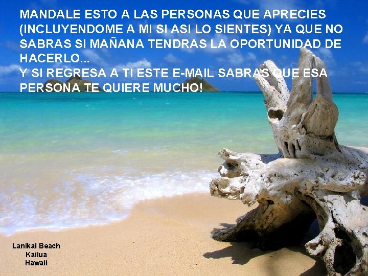 MANDALE ESTO A LAS PERSONAS QUE APRECIES (INCLUYENDOME A MI SI ASI LO SIENTES) MANDALE ESTO A LAS PERSONAS QUE APRECIES (INCLUYENDOME A MI SI ASI LO SIENTES)