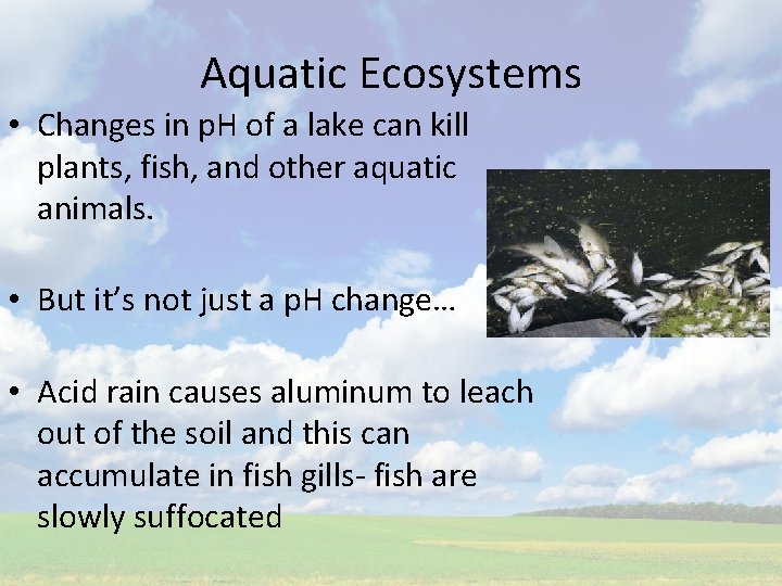 Aquatic Ecosystems • Changes in p. H of a lake can kill plants, fish,