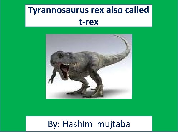 Tyrannosaurus rex also called t-rex By: Hashim mujtaba 