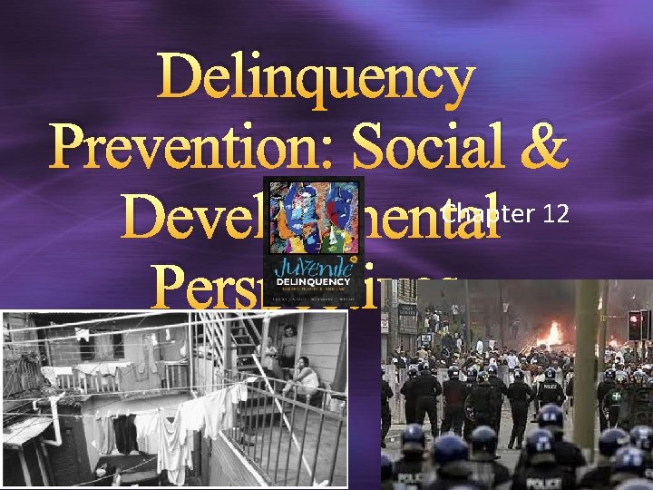 Delinquency Prevention: Social & Chapter 12 Developmental Perspectives 