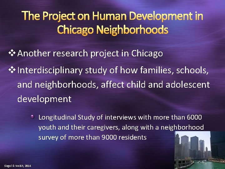 The Project on Human Development in Chicago Neighborhoods v Another research project in Chicago