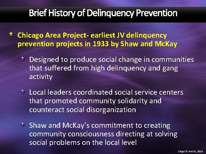 Brief History of Delinquency Prevention Chicago Area Project- earliest JV delinquency prevention projects in