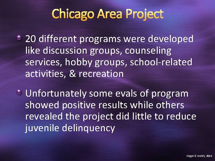 Chicago Area Project 20 different programs were developed like discussion groups, counseling services, hobby