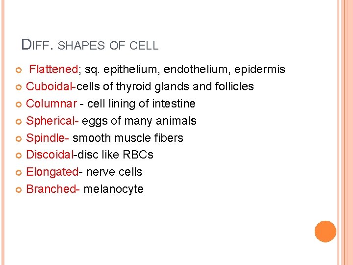THE CELL INTRODUCTION Cell biology Cytology Kytoshollow vessel