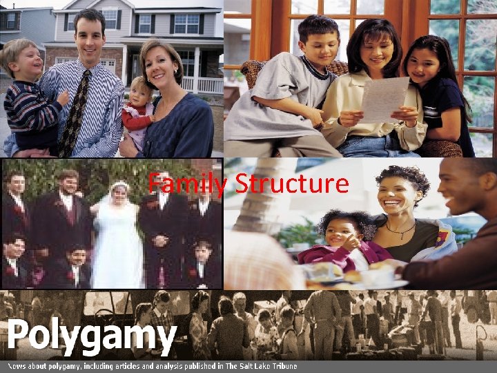 Family Structure 