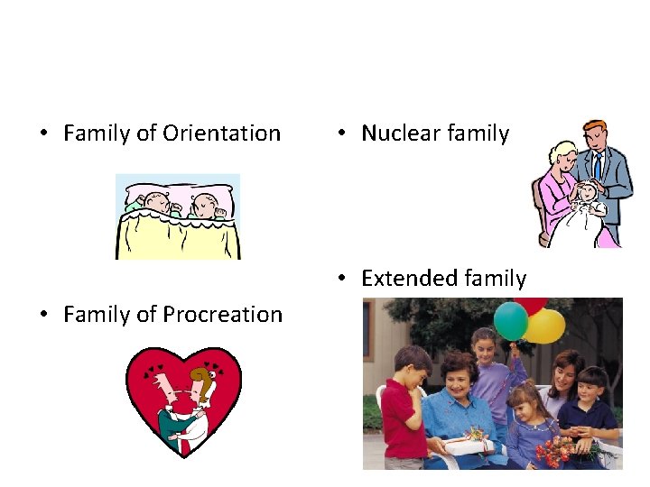  • Family of Orientation • Nuclear family • Extended family • Family of