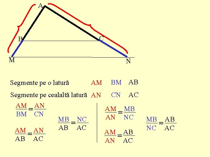 A B C M Segmente pe o latură N AM BM AB Segmente pe