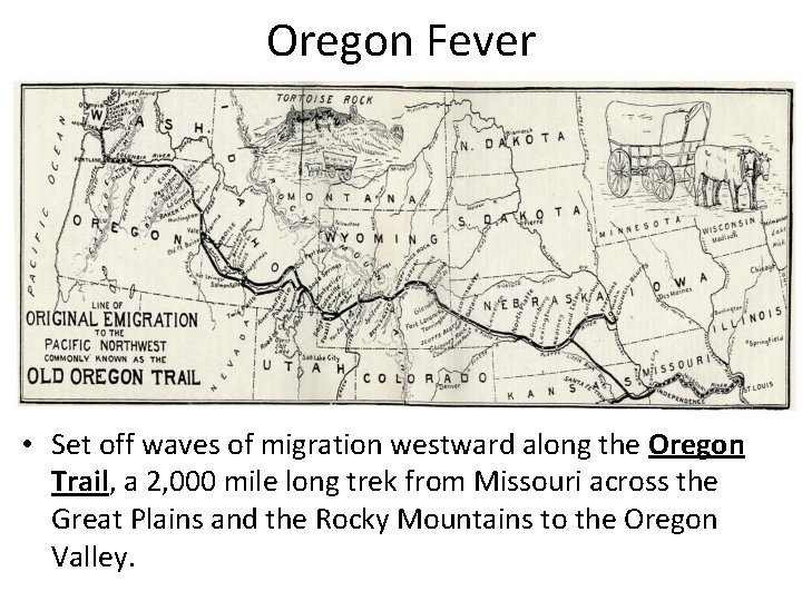 Oregon Fever • Set off waves of migration westward along the Oregon Trail, a
