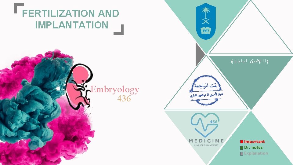FERTILIZATION AND IMPLANTATION ﴾ ﴿ ﺍ ﺍ ﺍﻹﻧﺴﺎﻥ ﺍ ﻳﺍ ﻳﺍ Embryology 436 Important
