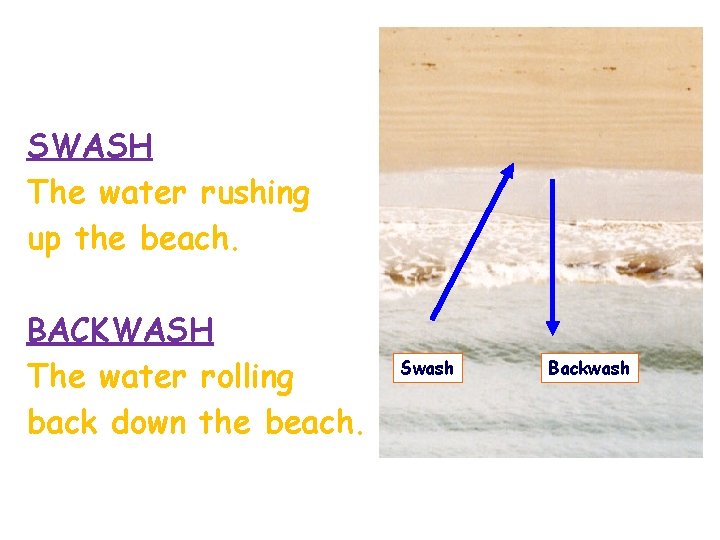 SWASH The water rushing up the beach. BACKWASH The water rolling back down the