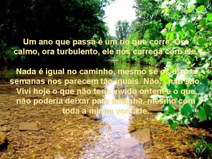 Um ano que passa é um rio que corre. Ora calmo, ora turbulento, ele