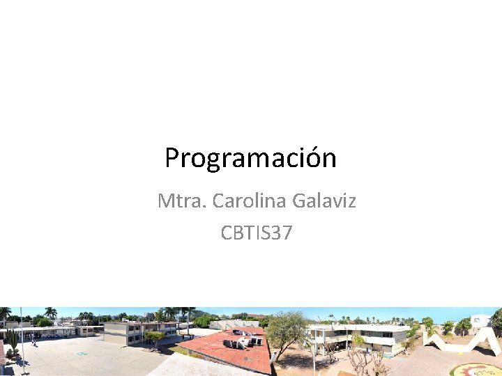 Programación Mtra. Carolina Galaviz CBTIS 37 