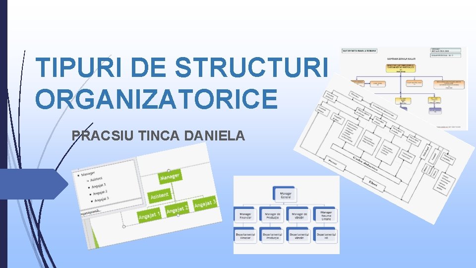 TIPURI DE STRUCTURI ORGANIZATORICE PRACSIU TINCA DANIELA 