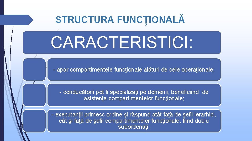 STRUCTURA FUNCȚIONALĂ CARACTERISTICI: - apar compartimentele funcţionale alături de cele operaţionale; - conducătorii pot