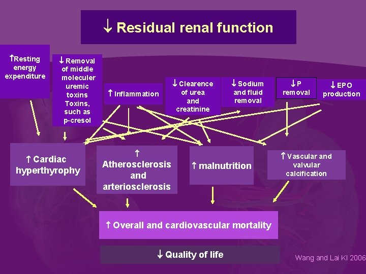  Residual renal function Resting energy expenditure Removal of middle moleculer uremic toxins Toxins,