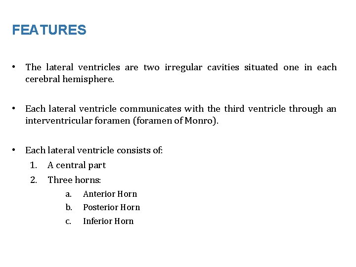 FEATURES • The lateral ventricles are two irregular cavities situated one in each cerebral
