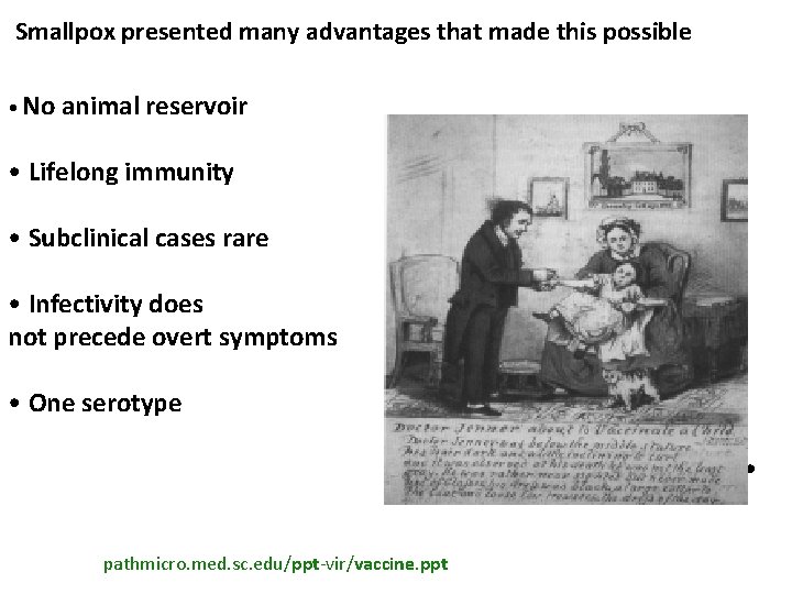 Smallpox presented many advantages that made this possible • No animal reservoir • Lifelong