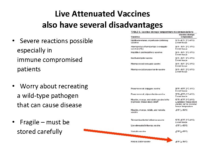 Live Attenuated Vaccines also have several disadvantages • Severe reactions possible especially in immune
