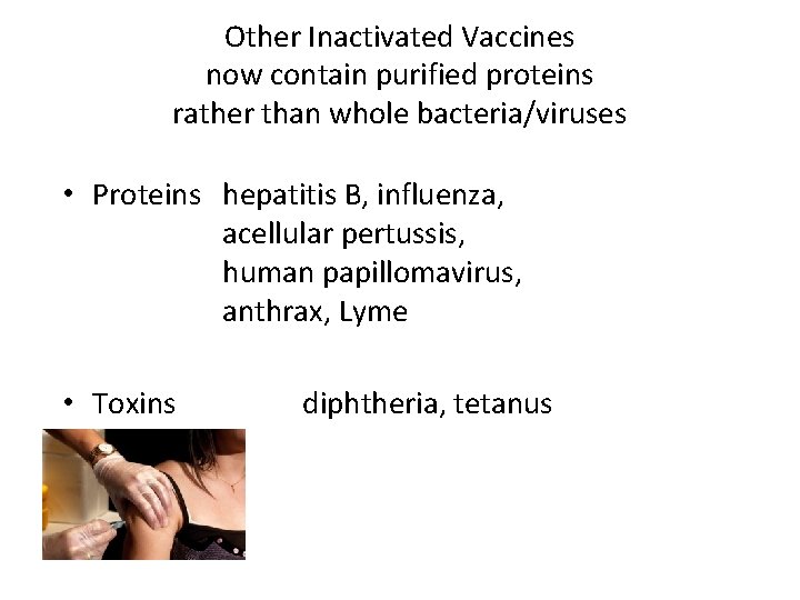 Other Inactivated Vaccines now contain purified proteins rather than whole bacteria/viruses • Proteins hepatitis