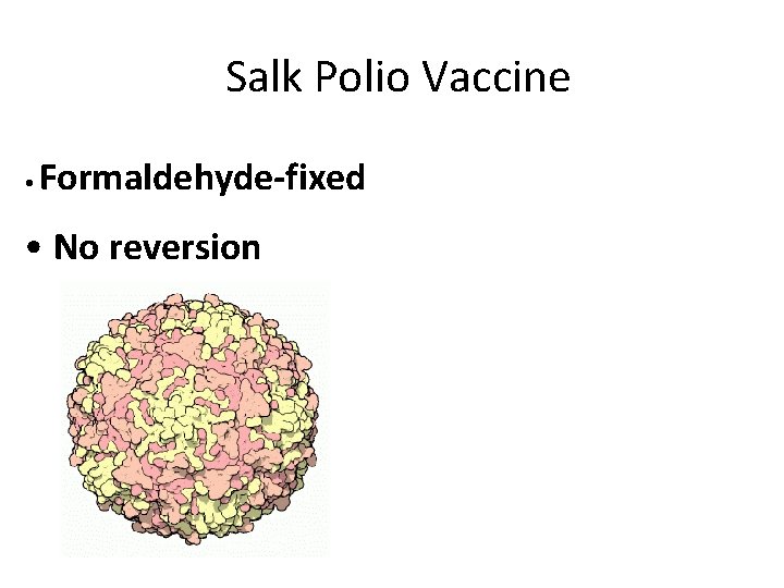 Salk Polio Vaccine • Formaldehyde-fixed • No reversion 