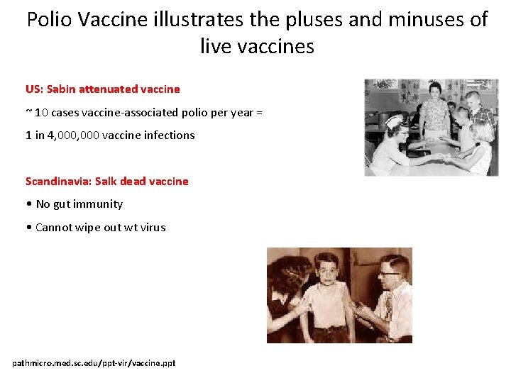 Polio Vaccine illustrates the pluses and minuses of live vaccines US: Sabin attenuated vaccine