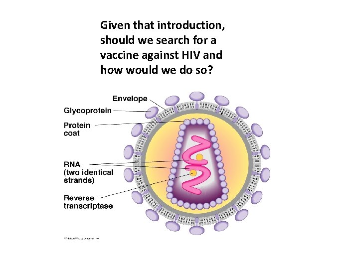 Given that introduction, should we search for a vaccine against HIV and how would