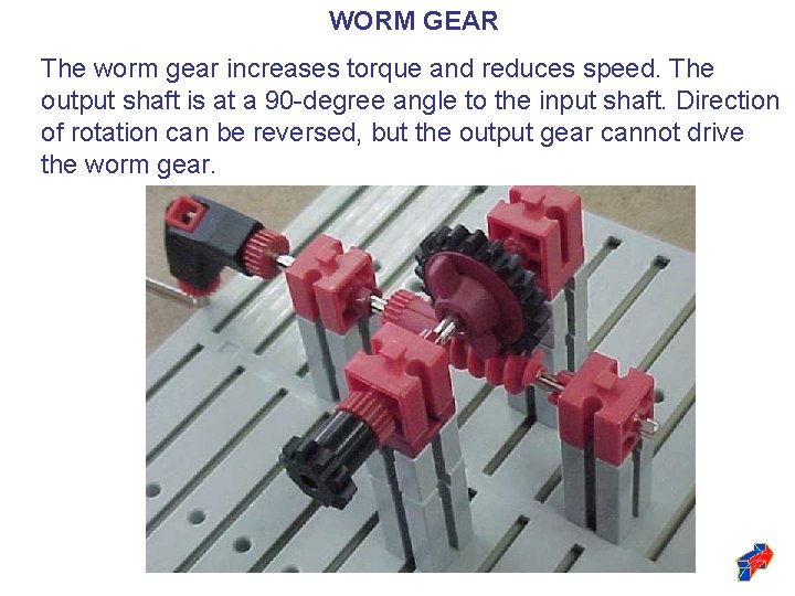 WORM GEAR The worm gear increases torque and reduces speed. The output shaft is