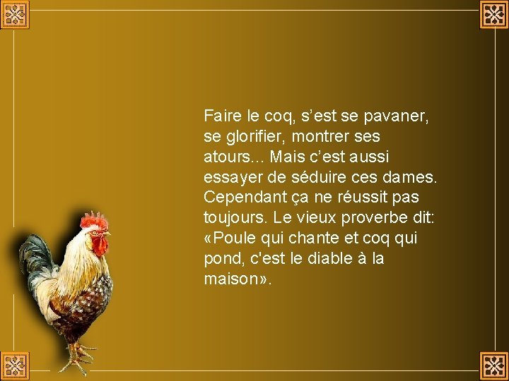 le coq chante