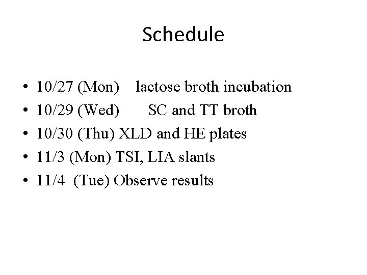 Schedule • • • 10/27 (Mon) lactose broth incubation 10/29 (Wed) SC and TT