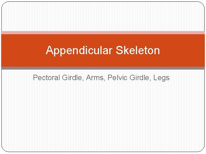 Appendicular Skeleton Pectoral Girdle, Arms, Pelvic Girdle, Legs 