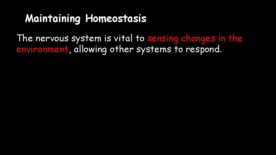 Maintaining Homeostasis The nervous system is vital to sensing changes in the environment, allowing