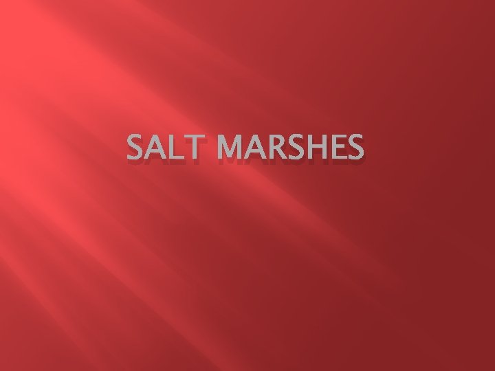 SALT MARSHES Where and How is it formed