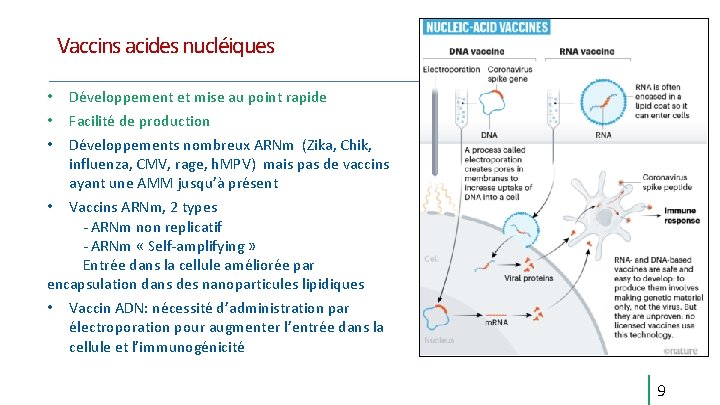 Vaccins acides nucléiques • • • Développement et mise au point rapide Facilité de Vaccins acides nucléiques • • • Développement et mise au point rapide Facilité de