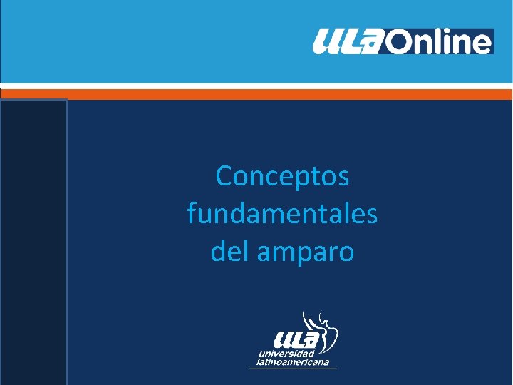 Conceptos fundamentales del amparo 