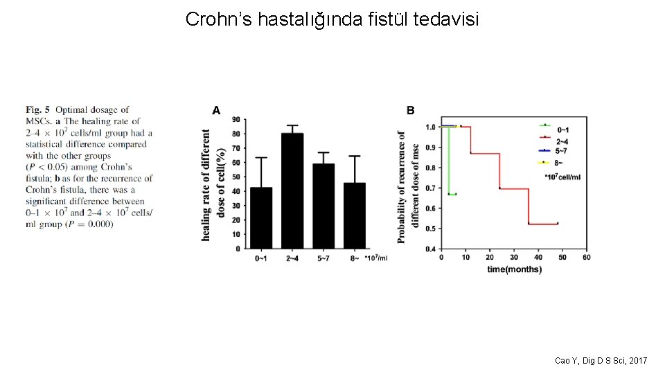 Crohn’s hastalığında fistül tedavisi Cao Y, Dig D S Sci, 2017 