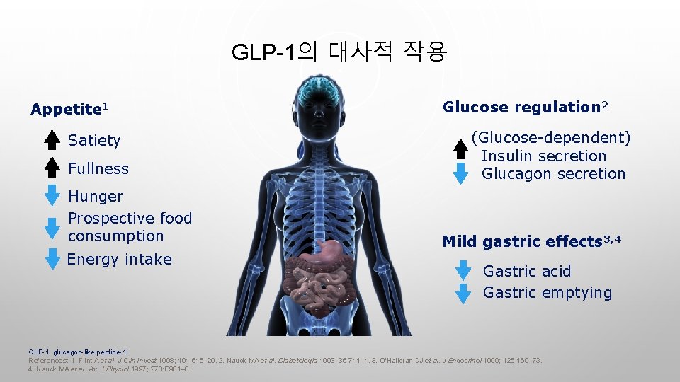 GLP-1의 대사적 작용 Appetite 1 Satiety Fullness Hunger Prospective food consumption Energy intake Glucose