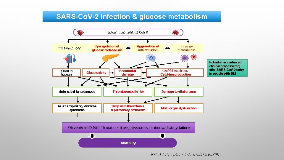 SARS-Co. V-2 infection & glucose metabolism Infection with SARS-Co. V-2 ↑Metabolic rate ↑Tissue hypoxia