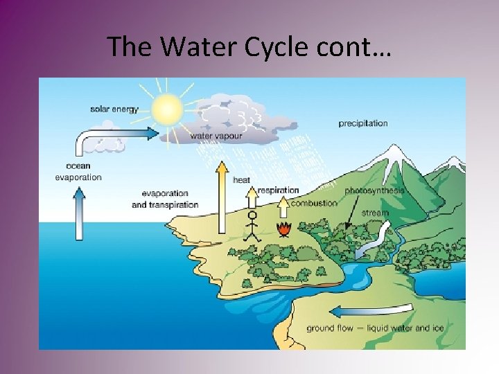 The Water Cycle cont… The Water Cycle cont…