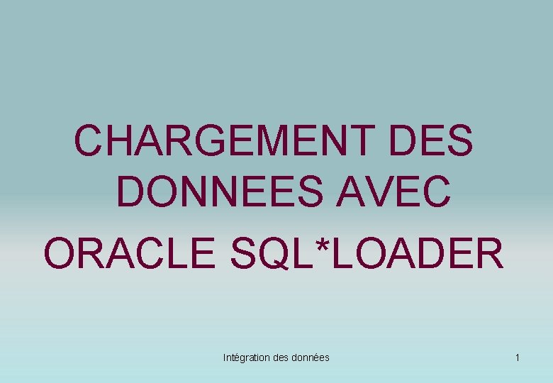 CHARGEMENT DES DONNEES AVEC ORACLE SQL*LOADER Intégration des données 1 